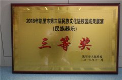 民族乐器奖